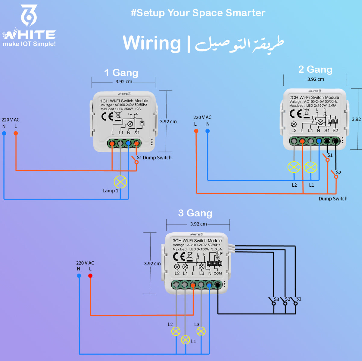 Wiring of White 369 DIY Smart Switches 1 Gang, 2 Gang, 3 Gang, and Free Contact, Support Tuya & Smart Life App and Alexa